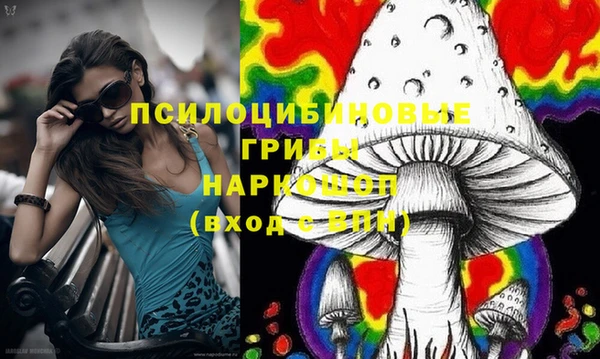 эйфоретик Алексин