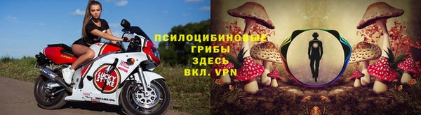 эйфоретик Алексин
